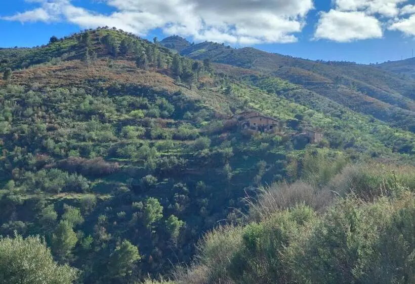 Cortijo Vacas Gordas B&b