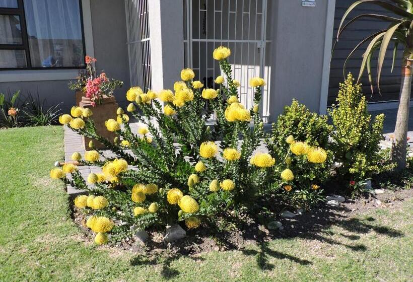 פנסיון Droom Verlore