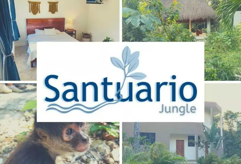 Santuario Jungle