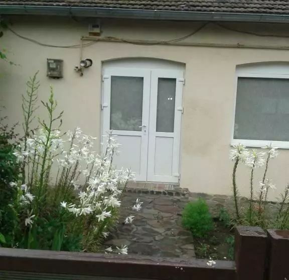 Casa Didina Fosta Pensiune Casa Didina