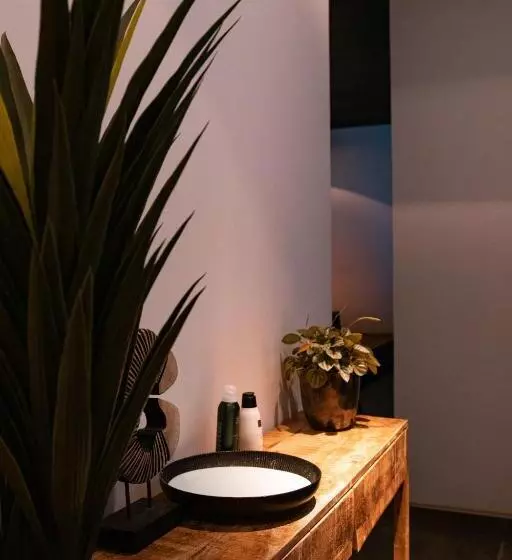 Aamiaismajoitus (B&B) Bed & Wellness Boxtel