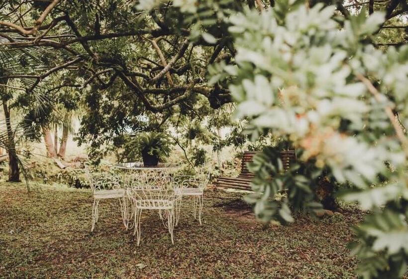 بنسيون Casarão Biazolli