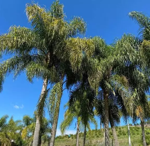 Majatalo Casarão Biazolli