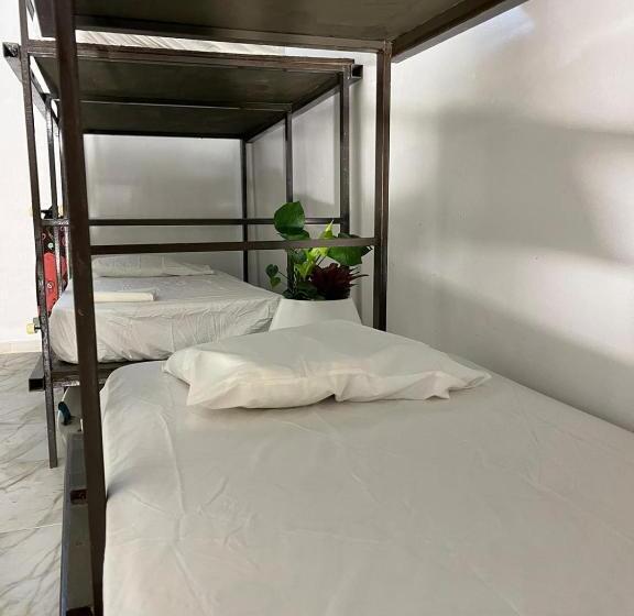 هاستل Rincon Dorms