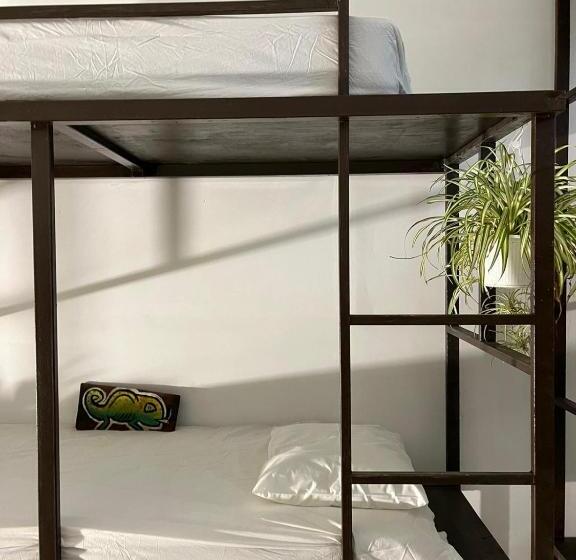 هاستل Rincon Dorms