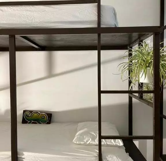 هاستل Rincon Dorms