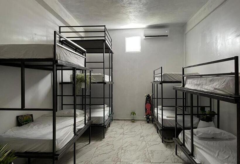 هاستل Rincon Dorms