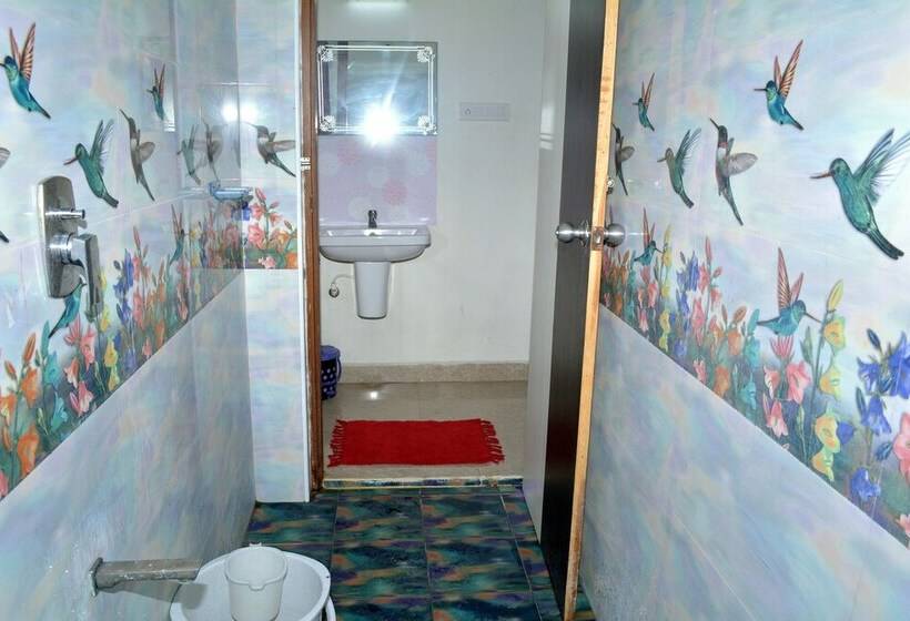 Отель Baba Residency