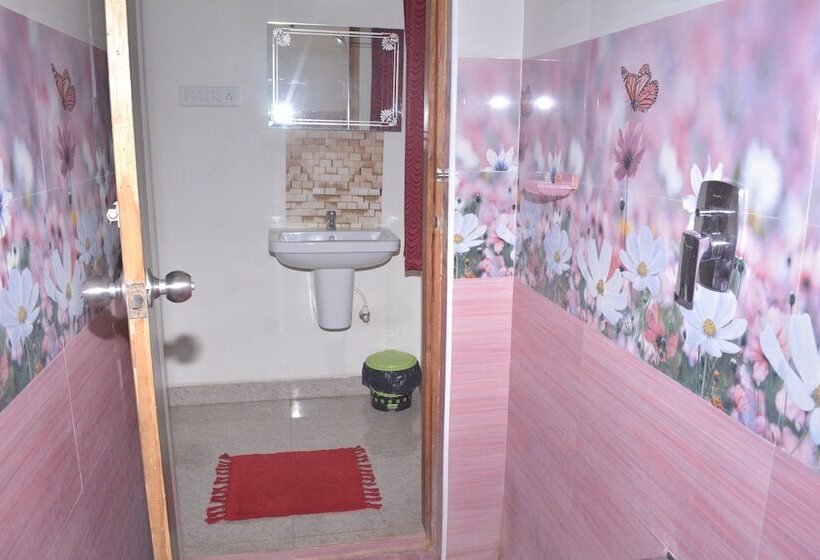 Отель Baba Residency