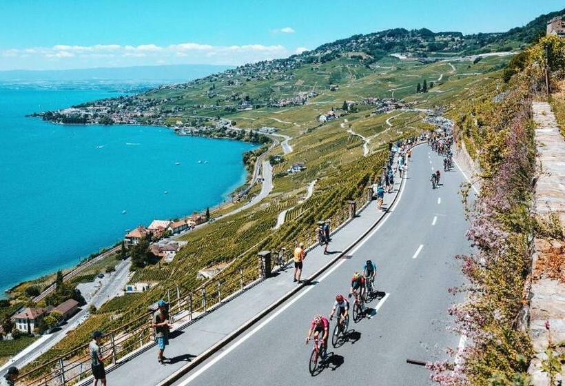 Pension Room With 360° View Overlooking Lake Geneva And Alps