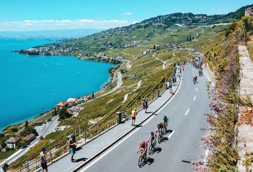 Majatalo Room With 360° View Overlooking Lake Geneva And Alps