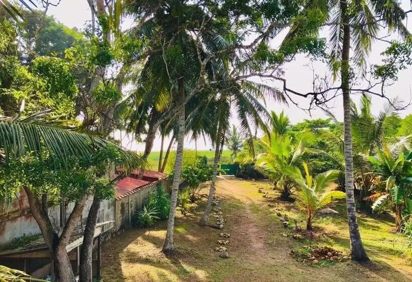 Aamiaismajoitus (B&B) Rosanuka Beach Villa