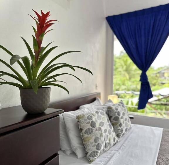 فندق Serendipity