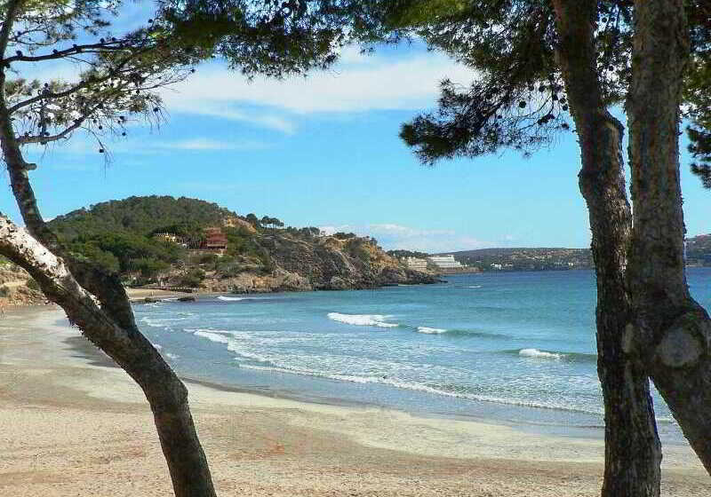 Bella Colina I Vintage Hotel 1953