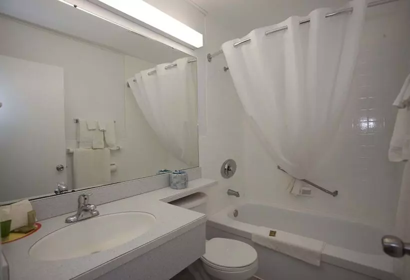 酒店 Canadas Best Value Inn & Suites Woodstock