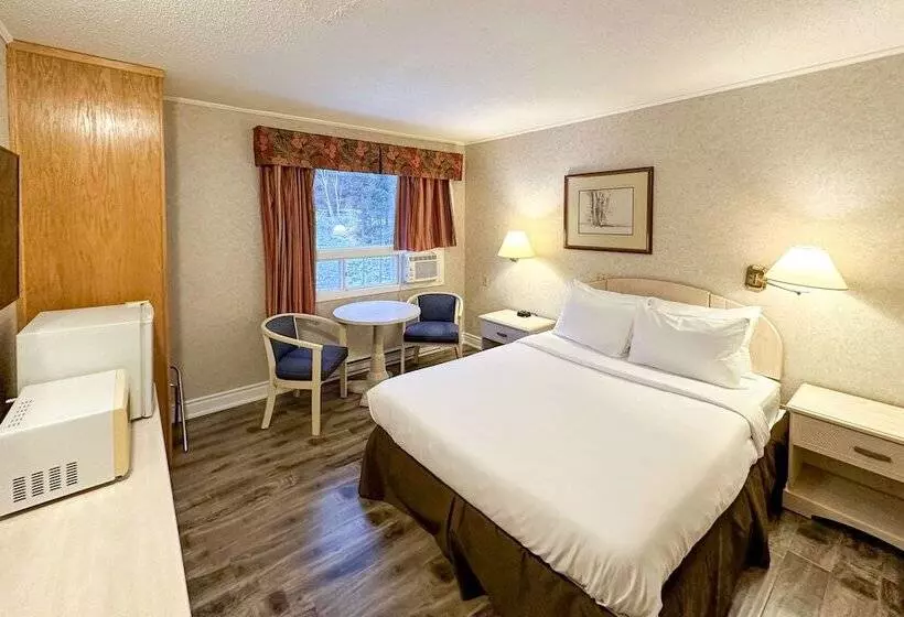酒店 Canadas Best Value Inn & Suites Woodstock