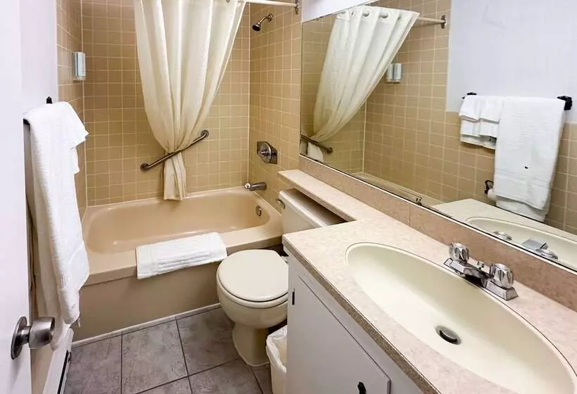 酒店 Canadas Best Value Inn & Suites Woodstock