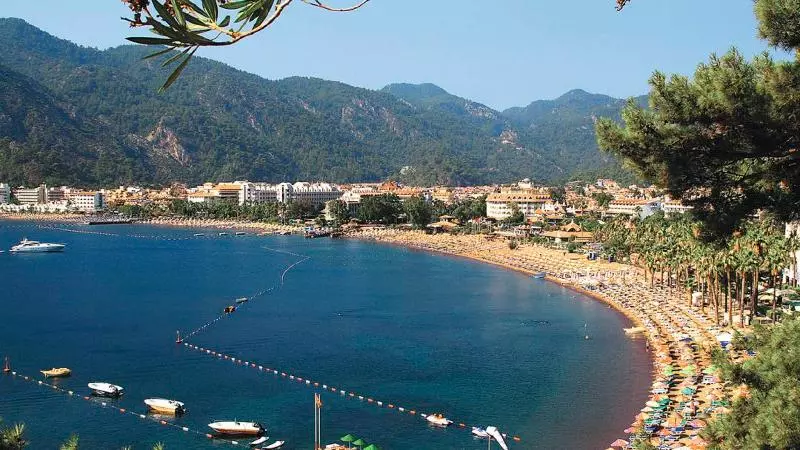 בית מלון כפרי Palmea