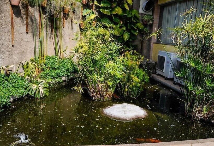 호텔 Refugio Do Saci