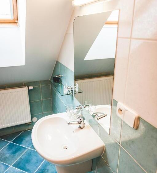 בית מלון כפרי U české Koruny