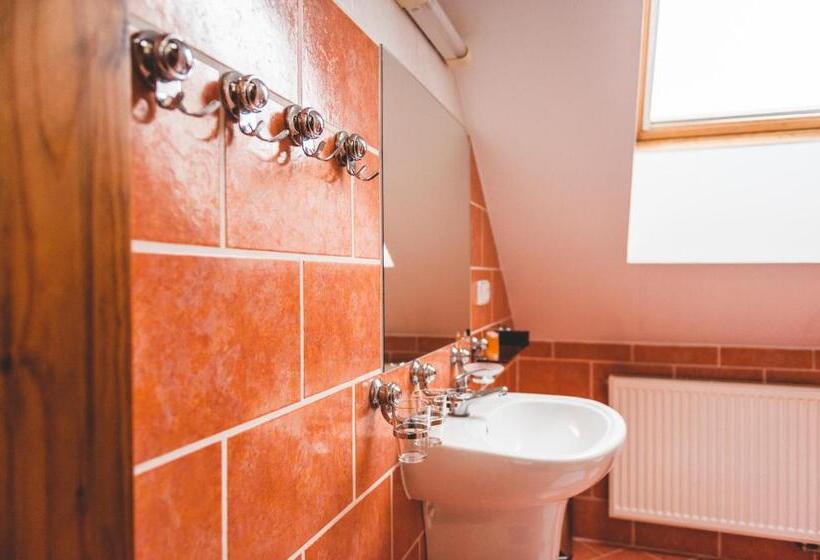 בית מלון כפרי U české Koruny