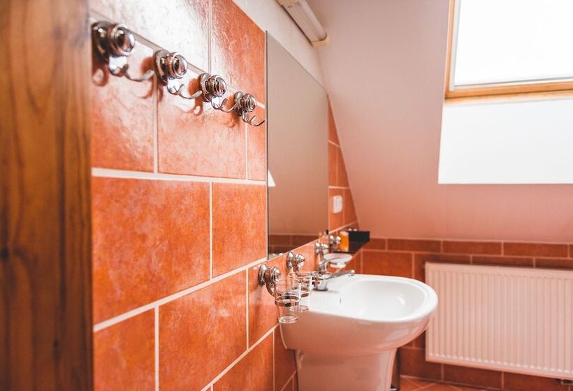 בית מלון כפרי U české Koruny