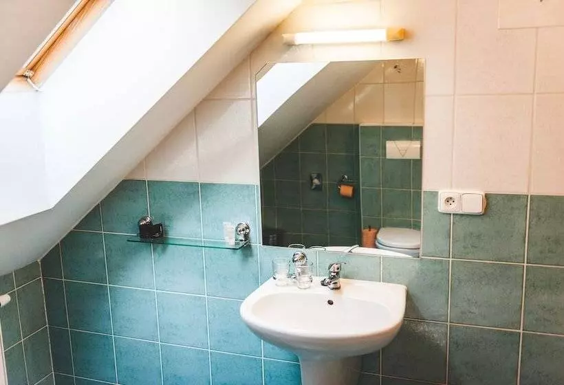 בית מלון כפרי U české Koruny