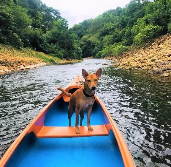 בית מלון כפרי Watercolours