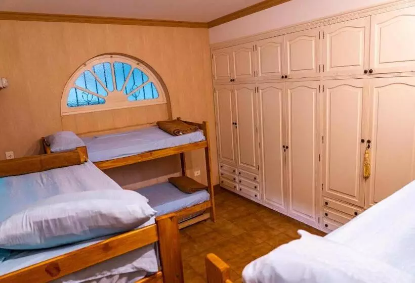 Olo Hostel