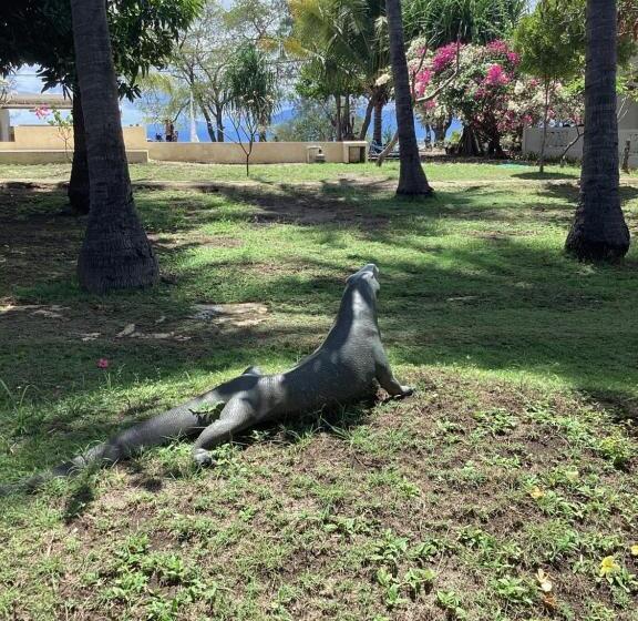 בית מלון כפרי Juliantos By The Sea