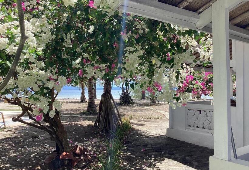 בית מלון כפרי Juliantos By The Sea