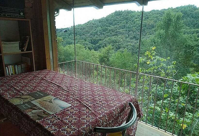 ベッドアンドブレックファースト La Stanza In Collina