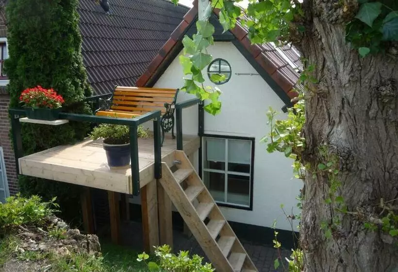 B&b La Cigale