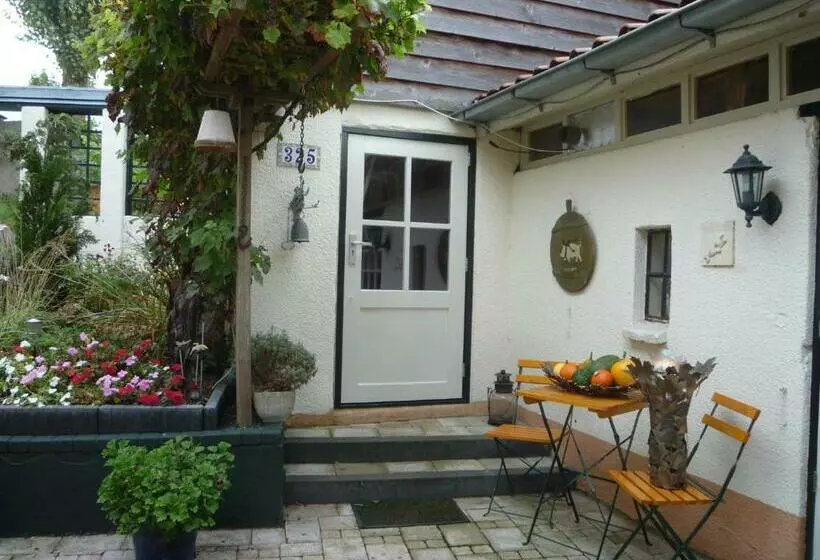 B&b La Cigale