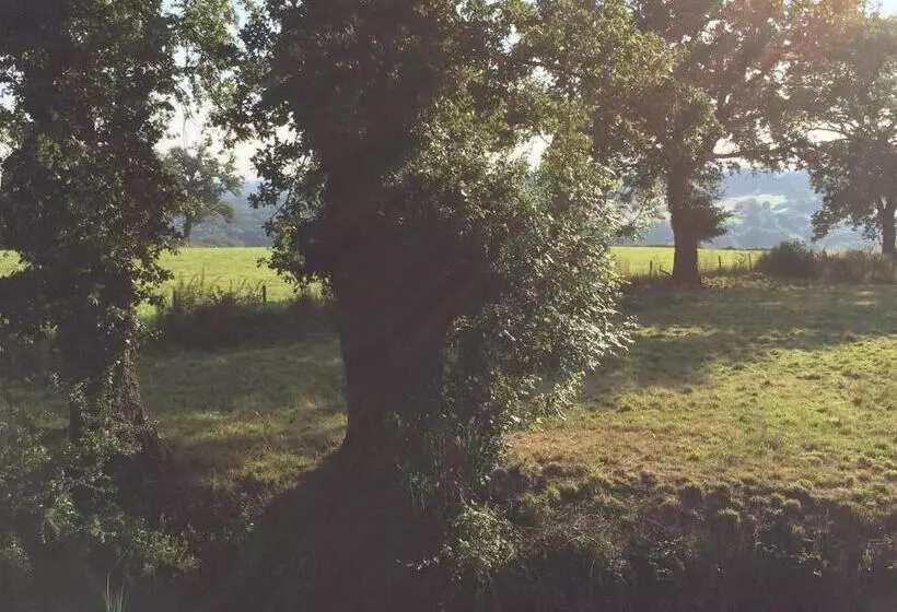 Aamiaismajoitus (B&B) Le Dragon Dans Les Buis