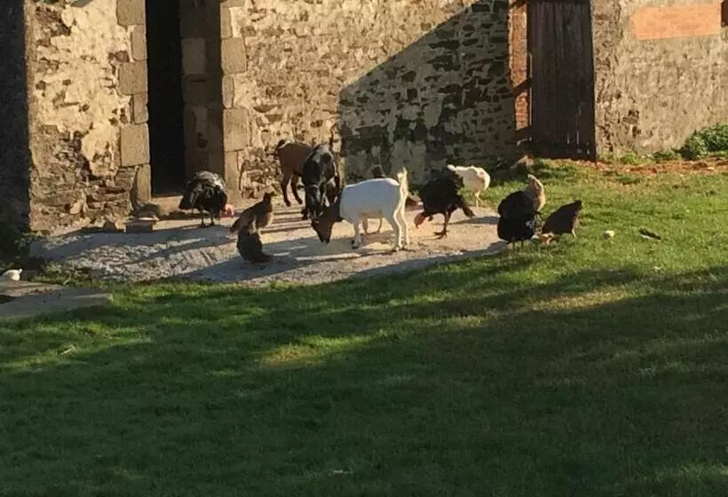 Aamiaismajoitus (B&B) Le Dragon Dans Les Buis