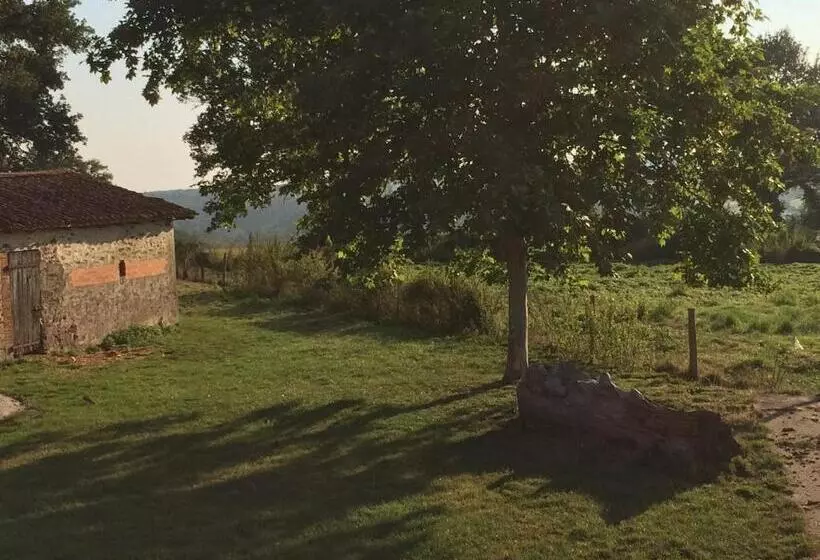 Aamiaismajoitus (B&B) Le Dragon Dans Les Buis