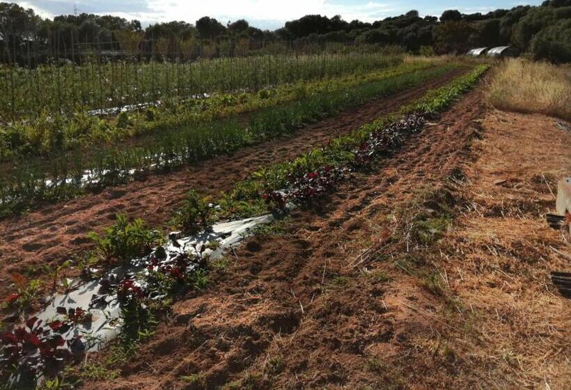 Отель Agriturismo Prendas De Sole