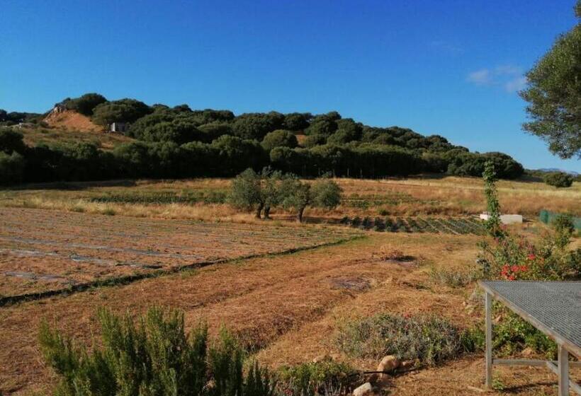 Отель Agriturismo Prendas De Sole