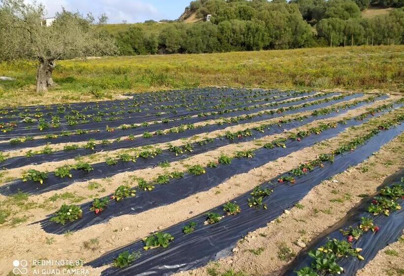 Отель Agriturismo Prendas De Sole