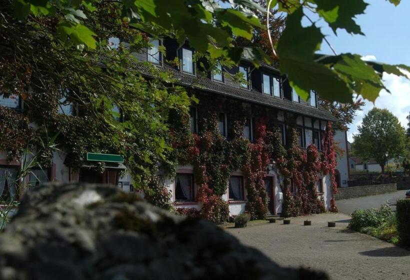 호텔 Niedereher Mühle