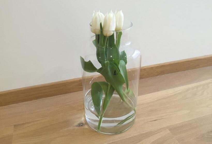 پانسیون Antwerp Town House Accommodations