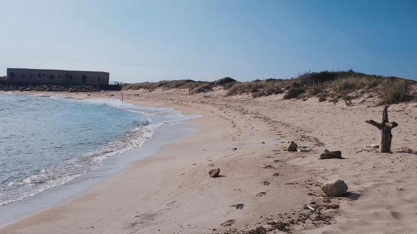 פנסיון Casa Vacanza In Pieno Centro Storico Vicino Ostuni E La Riserva Di Torre Quaceto