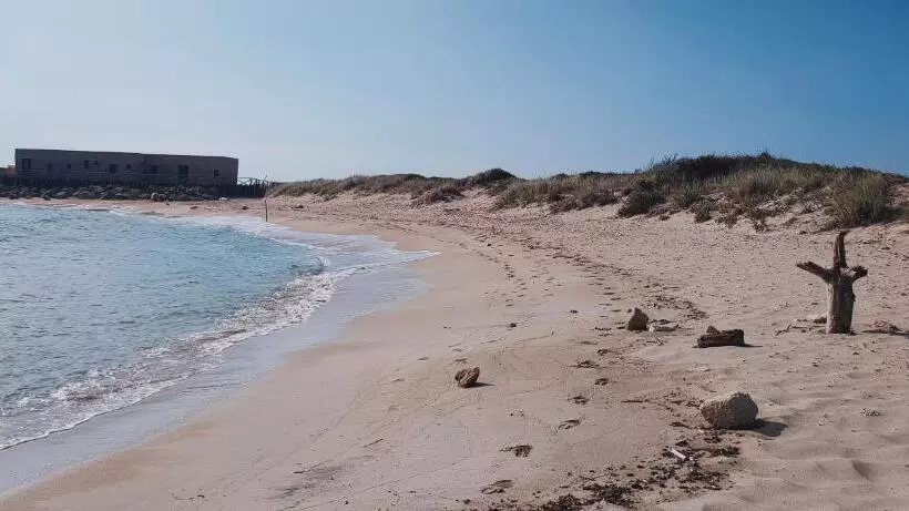 ペンション Casa Vacanza In Pieno Centro Storico Vicino Ostuni E La Riserva Di Torre Quaceto