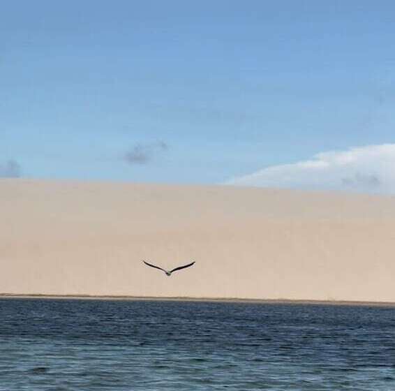 Пансион Chalé Murici Lençóis