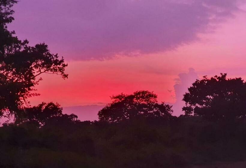 Pensione Duncan Murray Villa