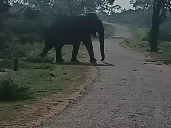 ペンション Duncan Murray Villa