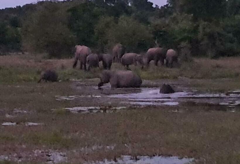 Pensione Duncan Murray Villa