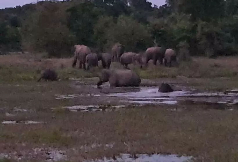 ペンション Duncan Murray Villa