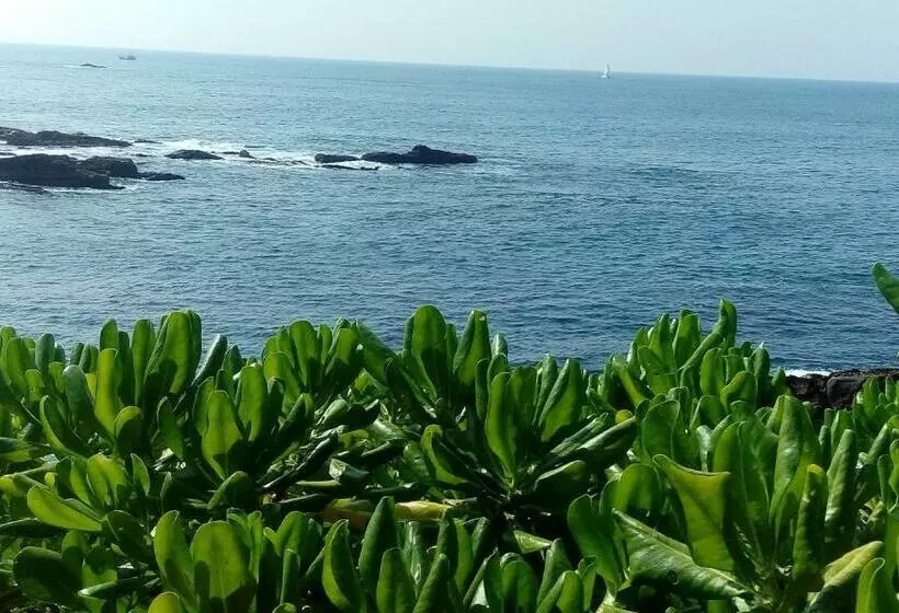 ペンション Duncan Murray Villa